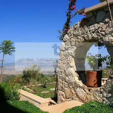 Mountain Angelica - 1070 فيلة